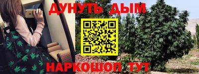 ПСИЛОЦИБИНОВЫЕ ГРИБЫ Нальчик