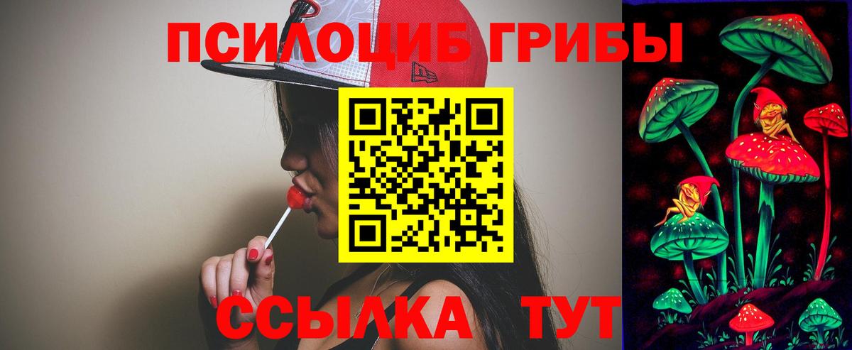 Псилоцибиновые грибы Magic Shrooms  Вход с VPN  Ульяновск  Галлюциногенные грибы GOLDEN TEACHER 