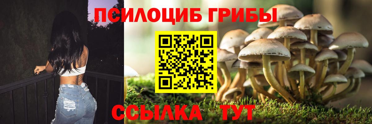 Галлюциногенные грибы прущие грибы Ульяновск